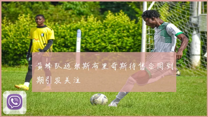黄蜂队迈尔斯布里奇斯待售合同到期引发关注
